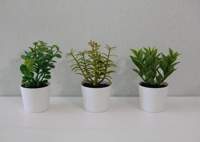 Sea Side 公寓 Rhodes City