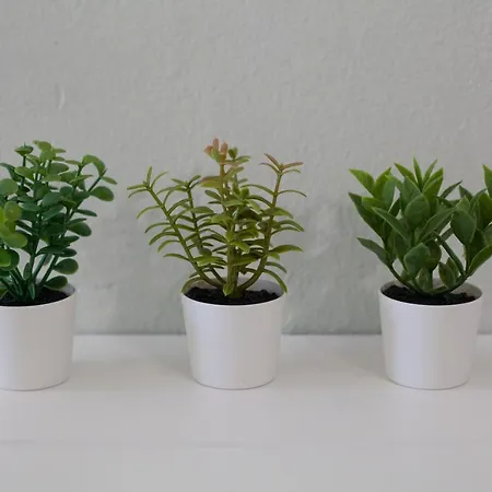 Sea Side דירה עיר רודוס